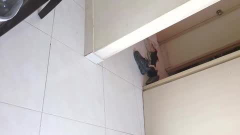 Snapshot of lacasadelosmunecosbq chatting on 12/20/25, 06:04 Bruno Smith online show from 12/20/25, 06:04