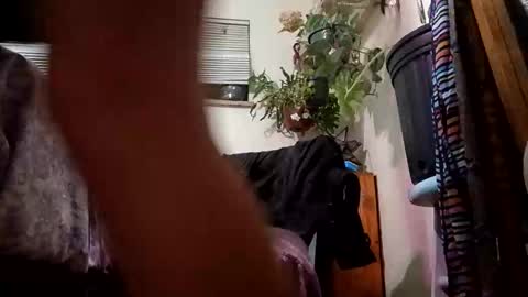 lacybell online show from 12/23/24, 07:06