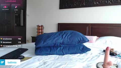 Snapshot of ladii_mia chatting on 12/05/24, 01:36 Mia online show from 12/05/24, 01:36