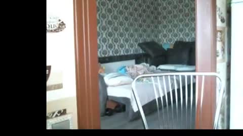 lady cute cat29 online show from 06/23/26, 02:53