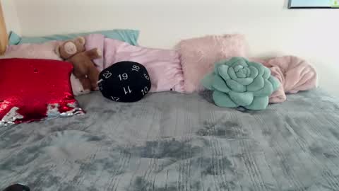 Snapshot of ladyboyhomemaker chatting on 03/06/25, 08:30 ladyboyhomemaker online show from 03/06/25, 08:30