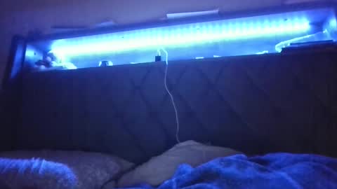 Snapshot of ladycinnabon chatting on 02/24/25, 05:11 Stephanie online show from 02/24/25, 05:11