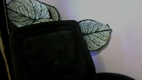 Snapshot of ladylilasexy chatting on 08/01/26, 03:33 sexylila online show from 08/01/26, 03:33