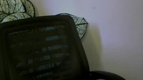 Snapshot of ladylilasexy chatting on 08/02/26, 12:36 sexylila online show from 08/02/26, 12:36
