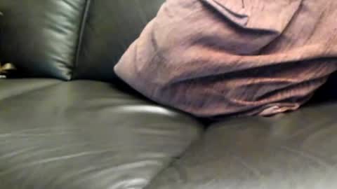 Snapshot of ladyloverwithcock chatting on 03/08/25, 07:53 tomtom online show from 03/08/25, 07:53