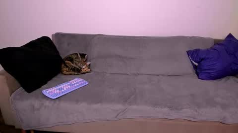 LadyTrep online show from 01/31/26, 07:56