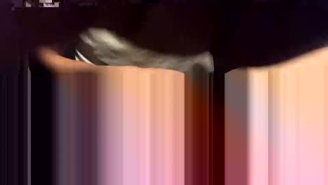 Snapshot of lalo112233vaz chatting on 11/16/25, 09:04 lalo112233vaz online show from 11/16/25, 09:04