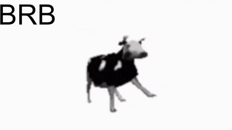 just call me Lana  and her security online show from 01/25/25, 11:13