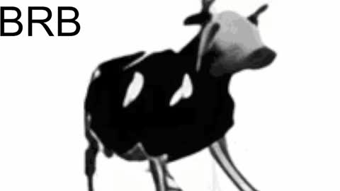 just call me Lana  and her security online show from 02/06/25, 02:15