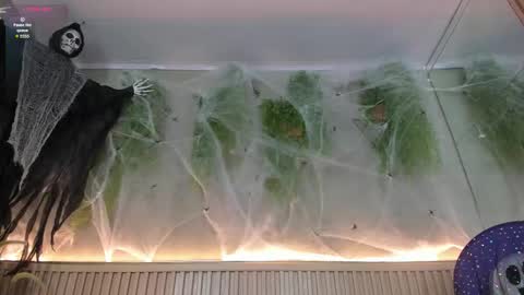 lana_lann online show from 10/30/25, 02:40