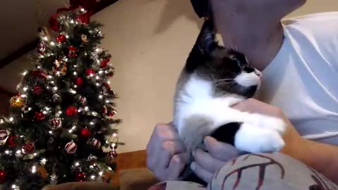 Snapshot of lancehardin chatting on 12/30/24, 01:04 Lance online show from 12/30/24, 01:04