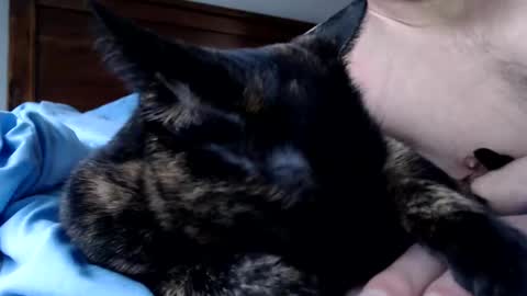 Snapshot of lancehardin chatting on 12/16/25, 04:12 Lance online show from 12/16/25, 04:12