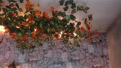 Snapshot of lancelot_benwick chatting on 01/07/25, 01:38 Lancelot Benwick online show from 01/07/25, 01:38