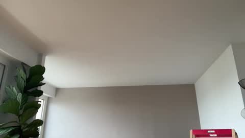 Lanimal online show from 10/03/25, 08:00