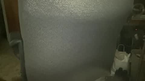 Snapshot of laser134 chatting on 02/04/26, 03:45 chris online show from 02/04/26, 03:45