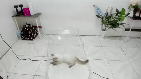 Kendra online show from 02/19/26, 05:47