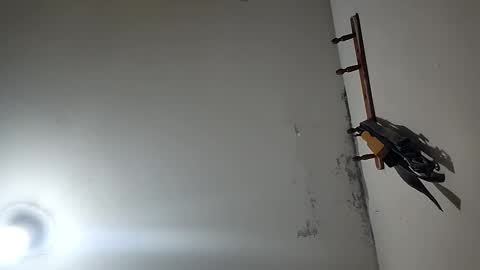 Snapshot of latigo1000 chatting on 12/20/25, 03:30 CHARLES ROBERT online show from 12/20/25, 03:30