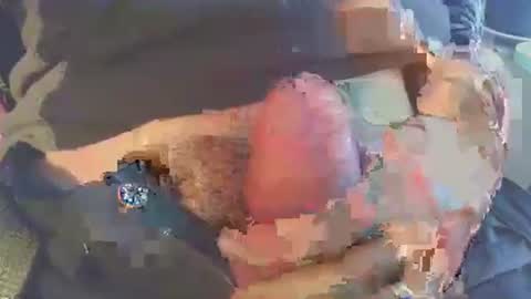 Snapshot of latil chatting on 11/29/25, 08:39 joseph online show from 11/29/25, 08:39