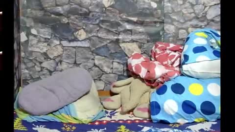 Snapshot of latin_hornycouple chatting on 01/28/25, 05:11 latin_hornycouple online show from 01/28/25, 05:11