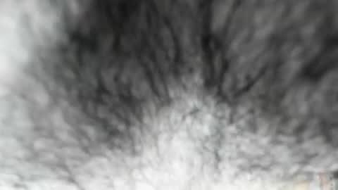 Snapshot of latinhotboys1 chatting on 02/03/26, 08:08 Zeus online show from 02/03/26, 08:08