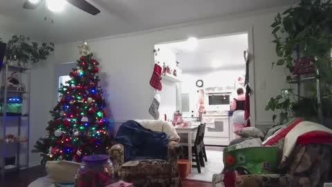 Snapshot of laulauma chatting on 12/23/24, 04:33 LauLauMa online show from 12/23/24, 04:33