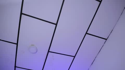 LAURA online show from 12/24/24, 01:50