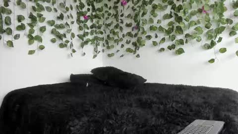 Snapshot of laurensmith9 chatting on 03/27/26, 02:17 laurensmith9 online show from 03/27/26, 02:17
