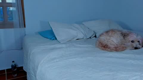 Lucie  online show from 02/15/25, 10:42