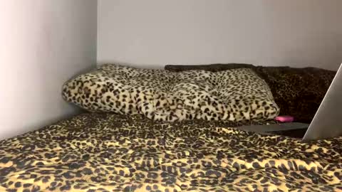 Laycee Layne online show from 09/18/25, 04:14