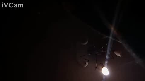 Snapshot of laydayy chatting on 01/12/26, 10:37 laydayy online show from 01/12/26, 10:37