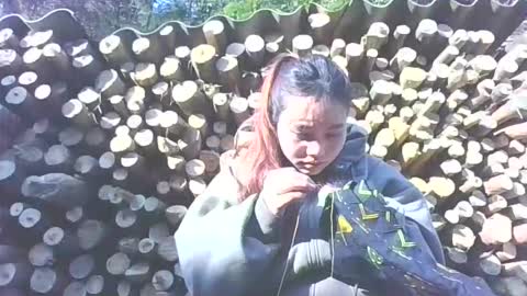 Snapshot of layla_999 chatting on 01/12/26, 02:06 layla_999 online show from 01/12/26, 02:06