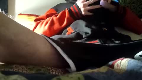 Stitch online show from 12/05/24, 04:53