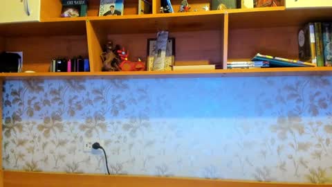 Vladi online show from 12/29/24, 09:17