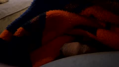 Snapshot of lc6173 chatting on 12/27/24, 01:43 lc6173 online show from 12/27/24, 01:43