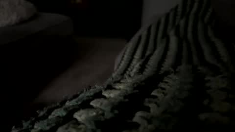 Snapshot of lc6173 chatting on 12/15/25, 08:13 lc6173 online show from 12/15/25, 08:13