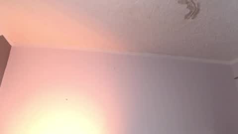 Snapshot of leabigboobs chatting on 02/03/25, 03:49 leabigboobs online show from 02/03/25, 03:49