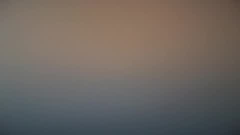 Michel online show from 03/07/25, 12:01