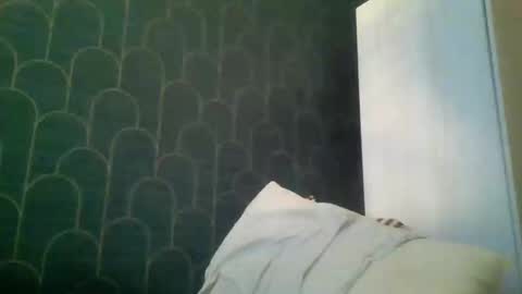 leeuwarder12 online show from 11/20/25, 07:35