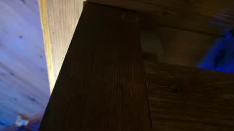 Dliciousman online show from 12/16/24, 08:48