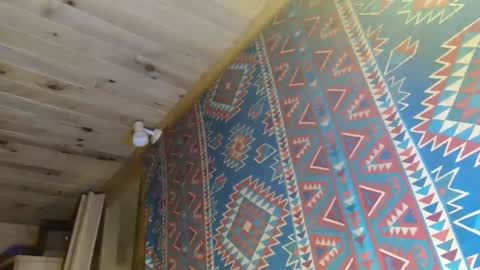 Dliciousman online show from 01/22/25, 10:59