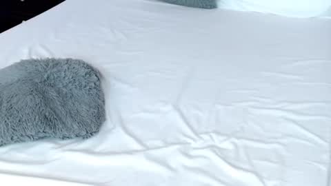 Snapshot of leonacutecam chatting on 02/19/25, 11:04 LUCY online show from 02/19/25, 11:04