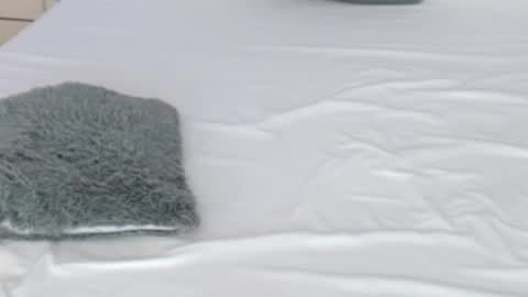 Snapshot of leonacutecam chatting on 02/17/26, 08:37 LUCY online show from 02/17/26, 08:37