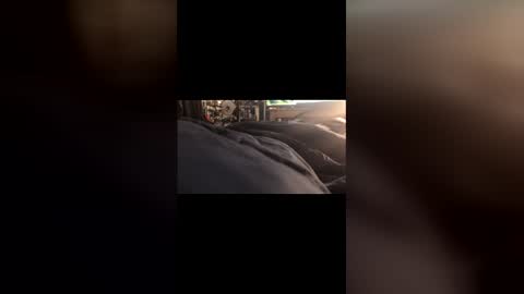 Snapshot of leongent chatting on 03/01/26, 07:05 Leon online show from 03/01/26, 07:05