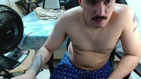 Snapshot of leonino231 chatting on 08/06/26, 02:46 leonino231 online show from 08/06/26, 02:46