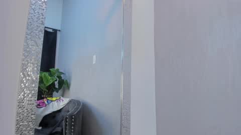 Snapshot of levy_steve chatting on 01/26/25, 12:01 LevySteven online show from 01/26/25, 12:01
