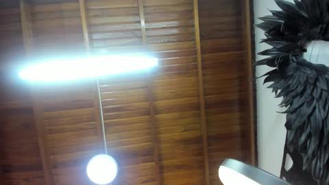 LevySteven online show from 11/07/25, 05:29