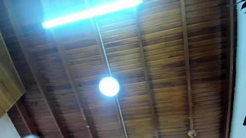 LevySteven online show from 11/23/25, 03:28