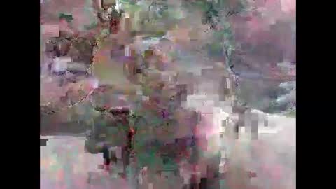 leweylewy online show from 11/13/25, 11:58