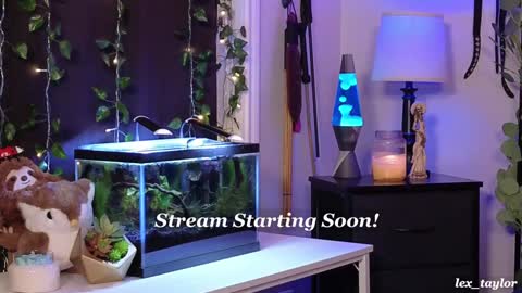 Snapshot of lex_taylor chatting on 01/07/25, 03:46 Lex online show from 01/07/25, 03:46