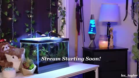 Snapshot of lex_taylor chatting on 02/21/25, 04:59 Lex online show from 02/21/25, 04:59